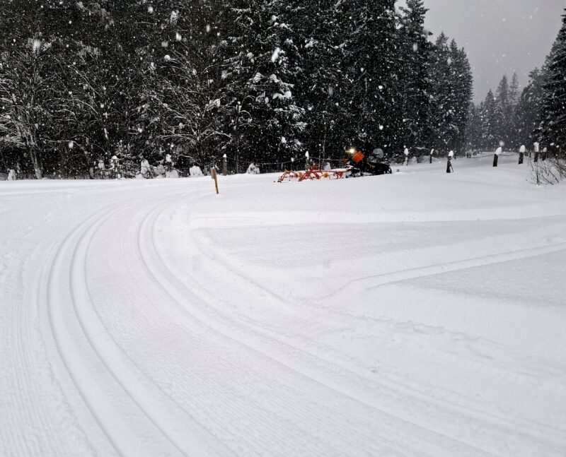 Трасса лыжная .Максима Парк, состояние на 14 февраля 2026 по отзыву, фото 12. 